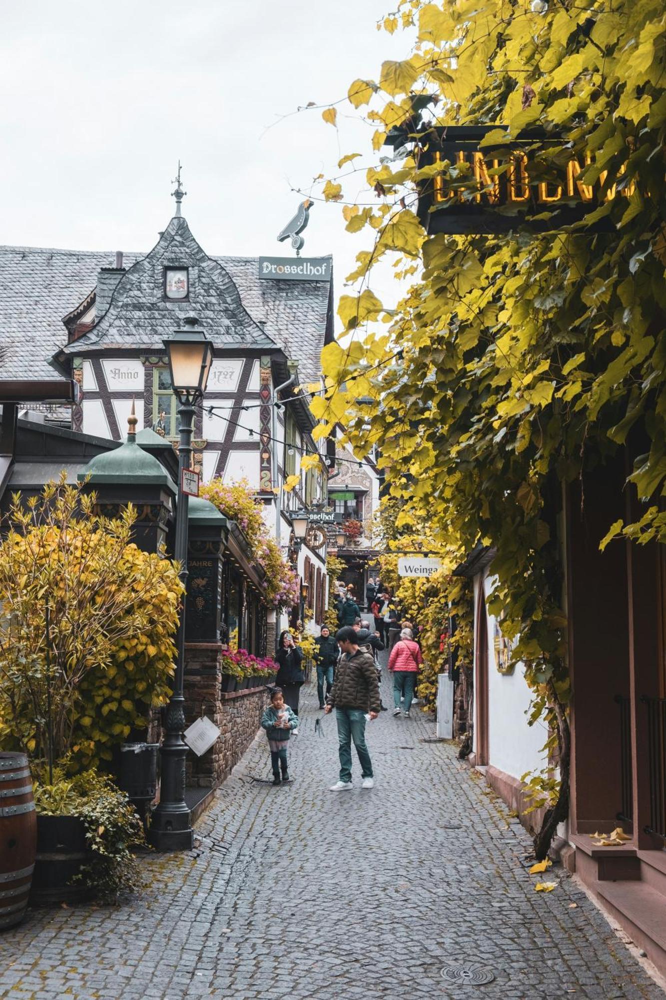 Hotel Zur Loreley - Garni Sankt Goar Kültér fotó